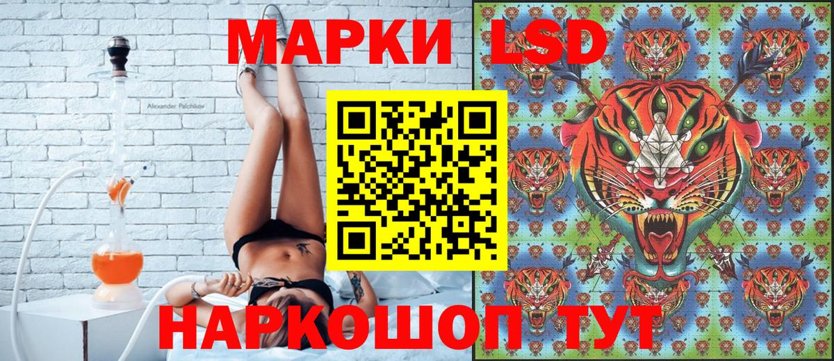ГАШ Каменка