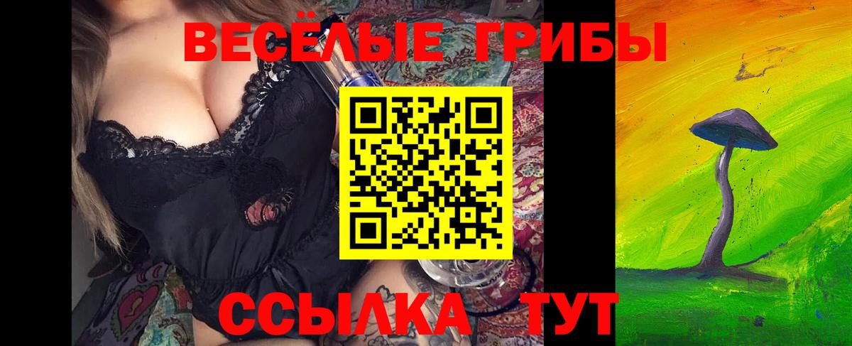 Псилоцибиновые грибы Cubensis  Вход с VPN  даркнет сайт  Каменка 